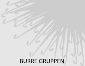 Burre-gruppen